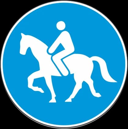 Shteg për kalorës